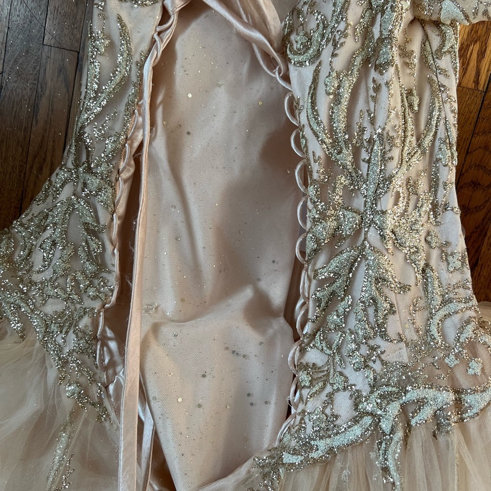 Prom Gown, Quinceañera Gown, Wedding Gown, Cosplay Gown or Ball Gown